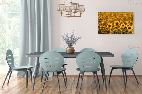 זריחה בשעת שקיעה – אורית גפני | תמונה לקיר בסגנון כפרי