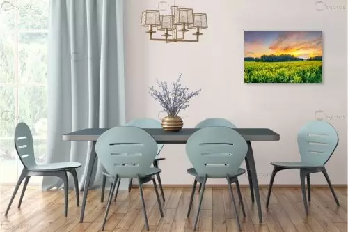 יער המגנים – מאור מלנקר | תמונה לקיר בסגנון כפרי