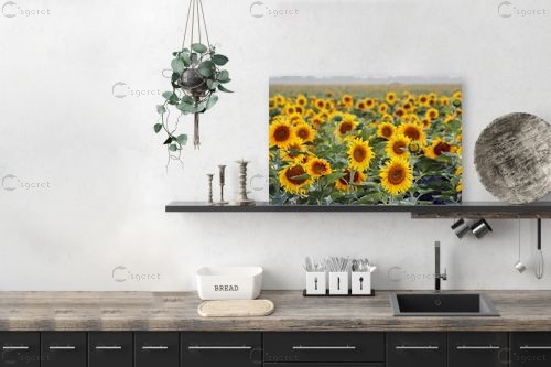 אין מילים... – מיכל פרטיג | תמונה לקיר בסגנון כפרי