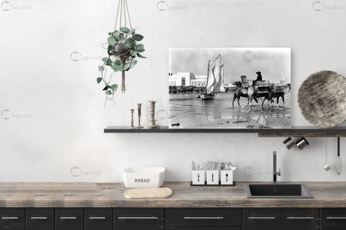 תל אביב 1939 - גמלים בחוף – דוד לסלו סקלי | תמונה לקיר בסגנון וינטג'