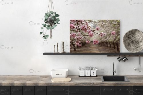 פריחת השקדיה – ניקולאי טטרצ'וק | תמונה לקיר בסגנון כפרי