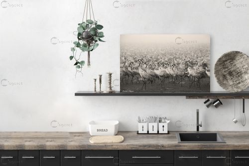 עגורים בערפל – איזבלה אלקבץ | תמונה לקיר בסגנון מודרני