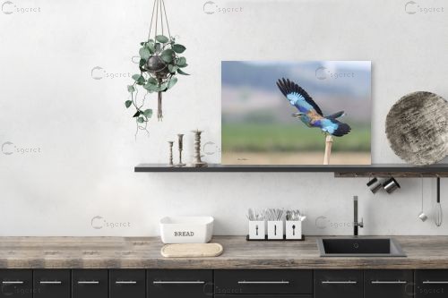 כחול טורקיז – כרמל תדמור | תמונה לקיר בסגנון מודרני