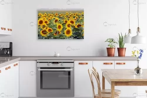 אין מילים... – מיכל פרטיג | תמונה לקיר בסגנון כפרי