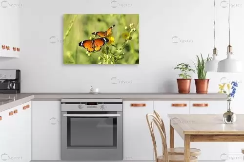 טובים השניים – ארי בלטינשטר | תמונה לקיר בסגנון כפרי