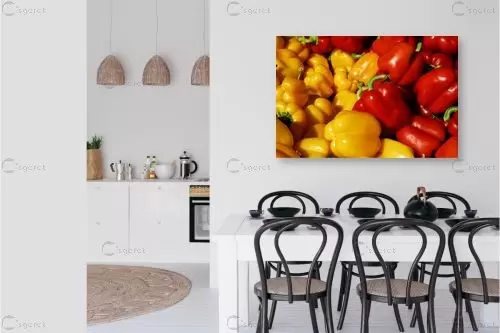 פלפלים – רן זיסוביץ | תמונה לקיר בסגנון מודרני