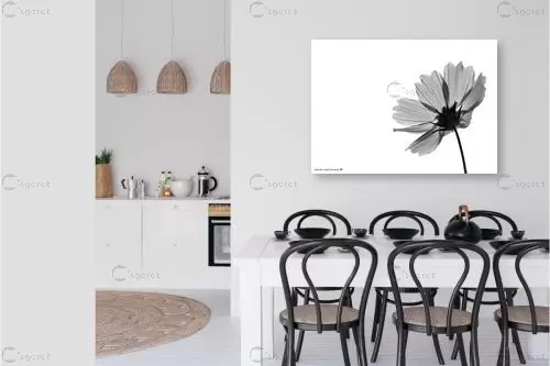 שקוף - שרית סלימן - סלון בסגנון מינימליסטי תמונות שחור לבן  - מק''ט: 181440