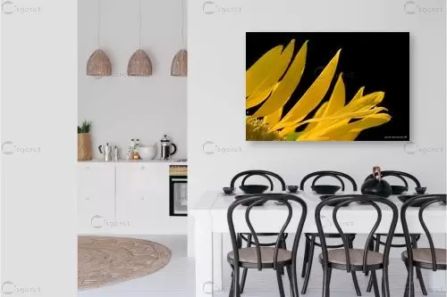 צהוב ושחור - שרית סלימן - תמונות לסלון מודרני תמונות בחלקים  - מק''ט: 197771