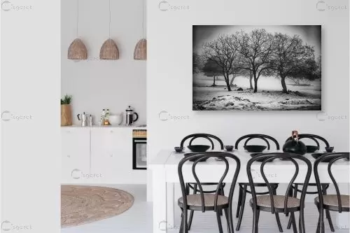 חורף בשחור לבן – אוהד דאיה | תמונה לקיר בסגנון מודרני