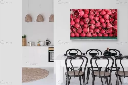 צנוניות – דן ששתיאל | תמונה לקיר בסגנון כפרי