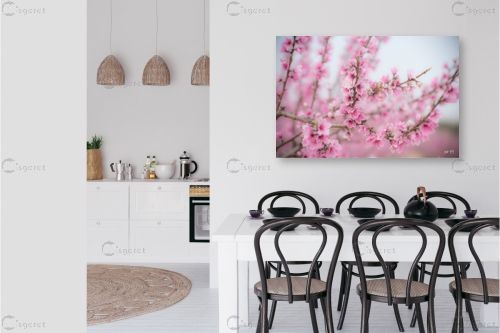 החיים בורוד – שוש אבן | תמונה לקיר בסגנון מודרני