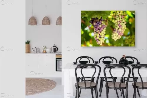 אשכול ענבים – טניה קלימנקו | תמונה לקיר בסגנון מודרני