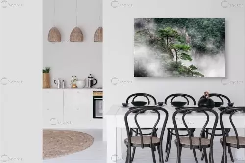 ההר הצהוב - Huangshan – טניה קלימנקו | תמונה לקיר בסגנון מודרני