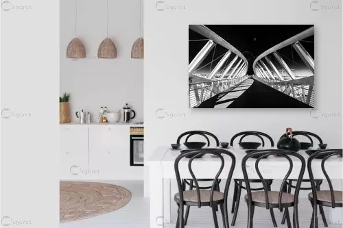 גשר - ניקולאי טטרצ'וק - תמונות אורבניות לסלון תמונות שחור לבן  - מק''ט: 334983
