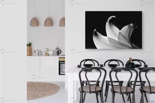 טקסטורה – שרית סלימן | תמונה לקיר בסגנון מודרני