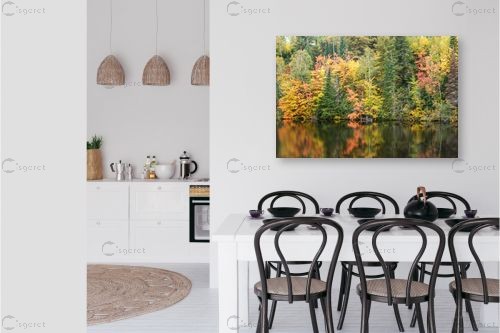 השתקפות צבעונית – סיוון זמיר | תמונה לקיר בסגנון מודרני