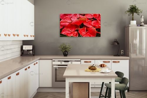 פרחים אדומים בהרכב - טניה קלימנקו - תמונות רומנטיות לחדר שינה  - מק''ט: 301834