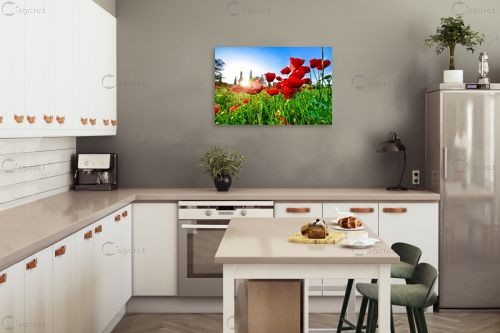 פריחת הפרג – רן זיסוביץ | תמונה לקיר בסגנון מודרני