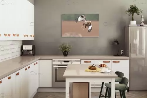 עקב במעוף – כרמל תדמור | תמונה לקיר בסגנון מודרני