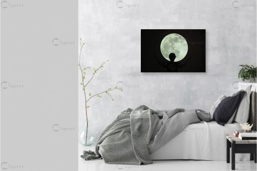 ירח - אלי נגר - תמונות שחור לבן  - מק''ט: 177879