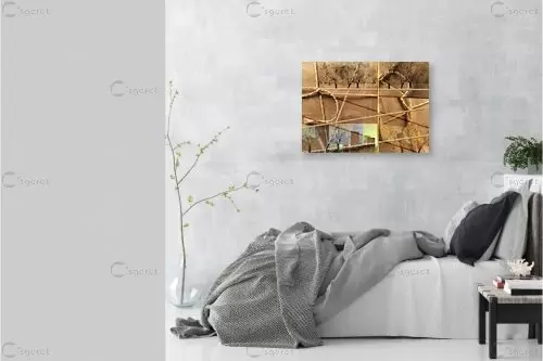  עטיפות - רוזה לשצ'ינסקי - תמונות לסלון רגוע ונעים נוף וטבע מופשט  - מק''ט: 202441