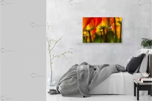 יער צבעוני - דורית ברקוביץ - תמונות רומנטיות לחדר שינה תמונות בחלקים  - מק''ט: 262278