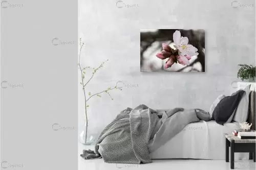 פרח השקד - אורי לינסקיל -  - מק''ט: 265847