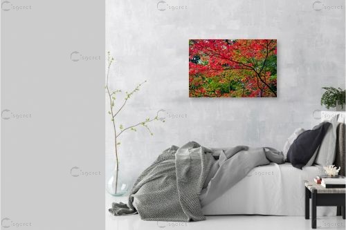 עץ בוער - דורית ברקוביץ - תמונות רומנטיות לחדר שינה  - מק''ט: 273913