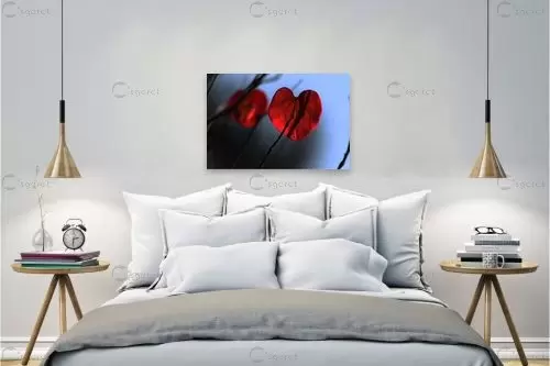 פעימות הלב - מיכל פרטיג - תמונות רומנטיות לחדר שינה  - מק''ט: 132039