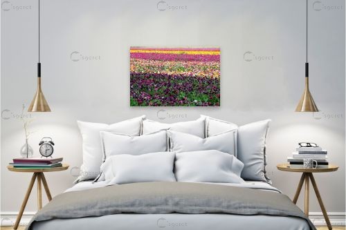 סגול כהה – אייל הצפון | תמונה לקיר בסגנון מודרני