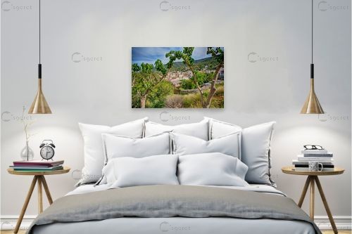 מבעד לעצים – אוהד דאיה | תמונה לקיר בסגנון כפרי