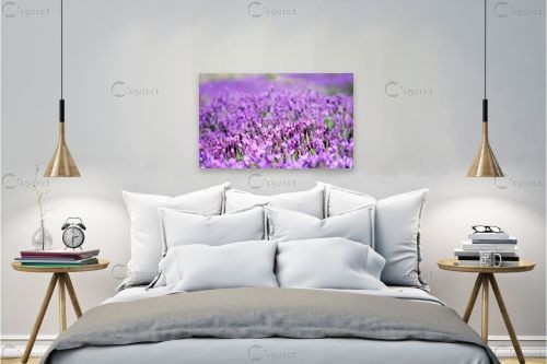 לבנדר חורפי – אורית גפני | תמונה לקיר בסגנון כפרי