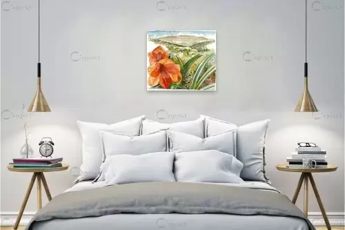 פרח אמרילוס ונוף - חיה וייט - צבעי מים  - מק''ט: 214012