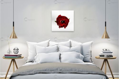 אדום - אילן עמיחי - תמונות רומנטיות לחדר שינה תמונות תקריב מאקרו  - מק''ט: 262432