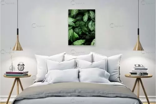 עלים ירוקים - Artpicked - תמונות לחדר שינה מודרני תבניות של פרחים וצמחים  - מק''ט: 329647