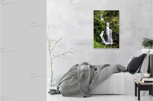 Triberg waterfalls - ניקולאי טטרצ'וק - תמונות לחדר רחצה ספא  - מק''ט: 288352