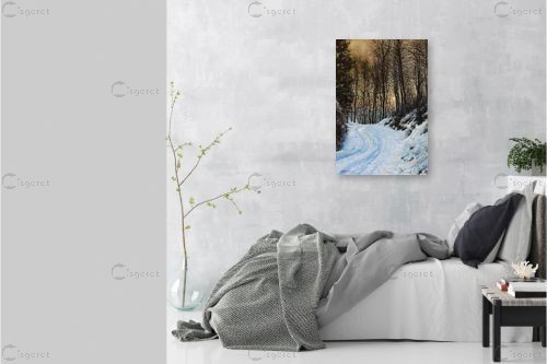 דרך בשלג – גד פרי | תמונה לקיר בסגנון ריאליסטי