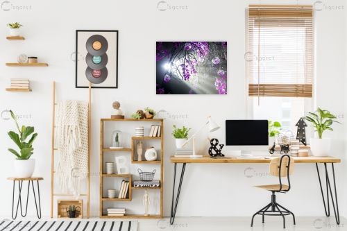 ביער הסחלבים 03 – ארי בלטינשטר | תמונה לקיר