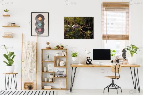 קורים זוהרים – משה יפה | תמונה לקיר בסגנון מודרני