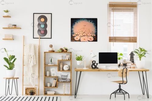 פרחי המים - אוסטרליה – איל מלק | תמונה לקיר בסגנון מודרני