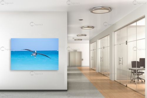 שקנאי – ניר אלון | תמונה לקיר בסגנון מודרני