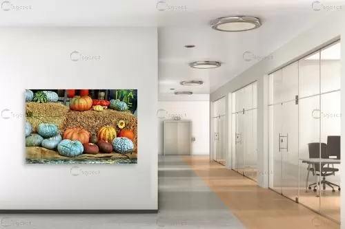 דלעות – שוש אבן | תמונה לקיר בסגנון כפרי