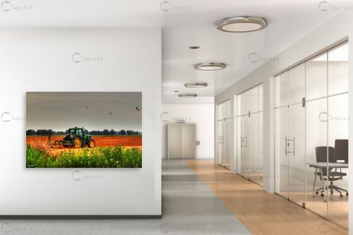 טרקטור וציפורים – מתן הירש | תמונה לקיר בסגנון כפרי