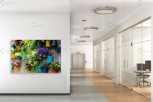 עציצים – ויויאן נתן | תמונה לקיר בסגנון כפרי