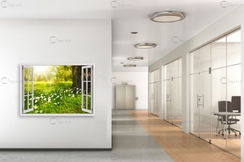 שדה חלומות מבעד חלון – Artpicked Windows | תמונה לקיר בסגנון כפרי