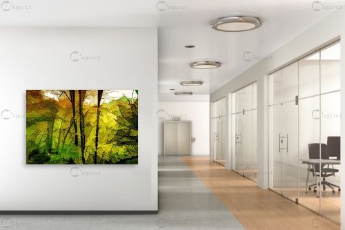 אור ראשון ביער – אורית גפני | תמונה לקיר בסגנון כפרי