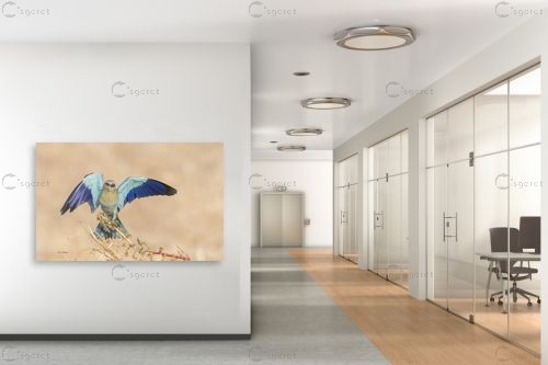 כחול טורקיז – כרמל תדמור | תמונה לקיר בסגנון מודרני