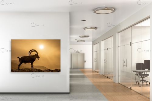 יעל – אייל ברטוב | תמונה לקיר בסגנון מודרני