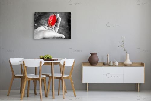 עלה – אילן עמיחי | תמונה לקיר בסגנון מודרני