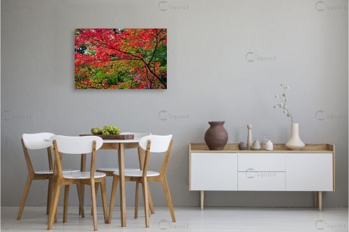 עץ בוער – דורית ברקוביץ | תמונה לקיר בסגנון כפרי